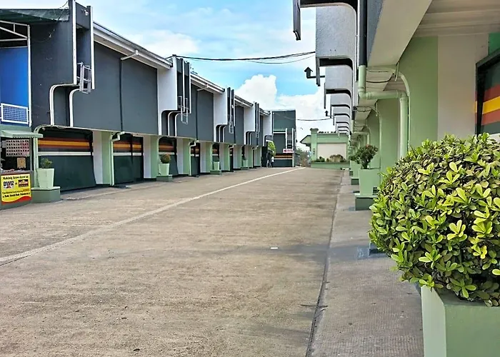 Daisy Drive Manila