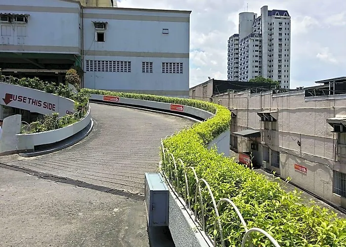 Daisy Drive Manila